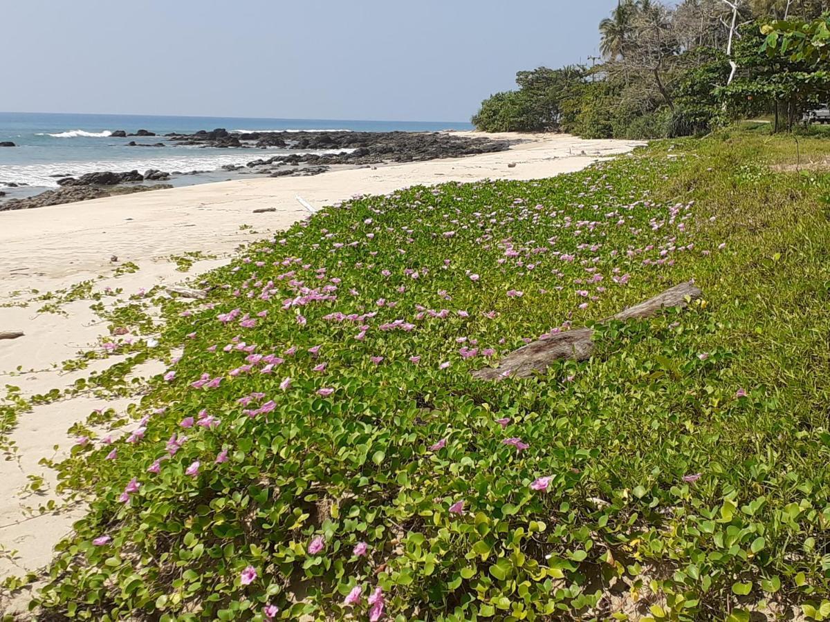 Lanta Daisy Residence Ko Lanta Eksteriør bilde