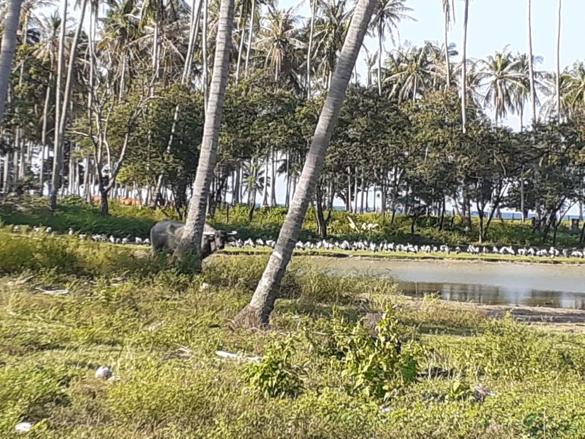 Lanta Daisy Residence Ko Lanta Eksteriør bilde
